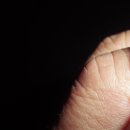 반딧불이의 기억 이미지