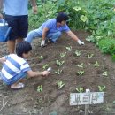 기현농장 이미지