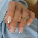 손네일 Daum카페