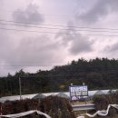 고성 탑 글램핑 농원 | 우리 가족 첫 글램핑 시작: 강원 고성 탑글램핑(feat.케이팝데몬헌터스)