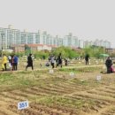 신길농장 이미지