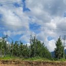 성준농장 | 2025 과일산업대전과 함께하는 황금사과 수확체험 이벤트 참가후기