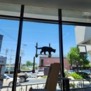 뚱냥한 하루 이미지