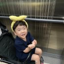 인천 아이와 호캉스 파라다이스시티 호텔 디럭스 스위트 트윈 후기