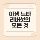 다양한 버섯을 활용한 건강한 요리 | 야생 느타리버섯, 효능, 요리법, 수확하는 방법 TOP3