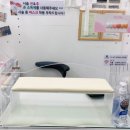 은빵네일 네이버블로그