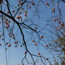 탑골농원 이미지