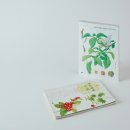 더 일러스트 앤 아트 주식회사