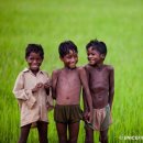 제주시절 이미지