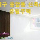 녹번-006 Daum카페
