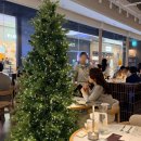 (주)유주 | 여의도 IFC몰 맛집 데이트 와인 분위기 좋은 유주키친