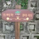 봉무공원 산책로 Daum카페