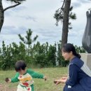 [학점은행제] 통합실습 이미지