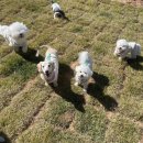 눈보뛰 프리미엄 이미지