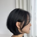 제이엘타워(JL타워) | 이천미용실 제이엘살롱 경민원장 단발레이어드펌