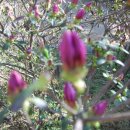 한우물 농장 이미지