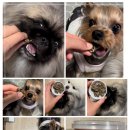 올리브키친코리아 이미지