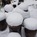 디스토리 이미지