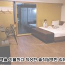 와호텔 네이버블로그