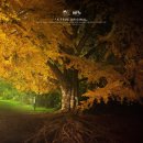 고목나무사진관 | <침묵의 친구>(Silent Friend, 2025) 영화 리뷰