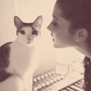 배부른고양이 이미지