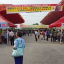 장터고추