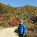 의암순례길(봄내길 2-1코스) 이미지