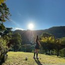 상모골프클럽 | 파플레이골프클럽 부산근교 김해 파3 후기