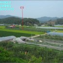 아우내농협동면주유소 | [천안시토지(답) 법원경매] 천안시 동남구 동면 시세,매매,급매,전세