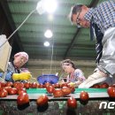 정안영농조합법인 이미지