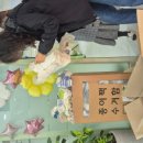 마리보나어린이집 이미지