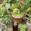 카페 홈타운 이미지