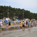 몽산포패밀리데이캠핑장 네이버블로그