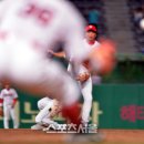 반전 이미지