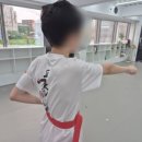 품 태권도 이미지