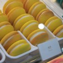 스테이히얼(stay here) 이미지