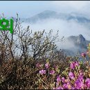 태백산경로당 이미지