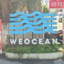 위 | 세부 막탄 가족여행 정어리떼 스노클링 위오션 후기