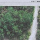 북두칠성 이미지