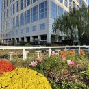 하늘정원 이미지