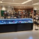 패션파크 이미지