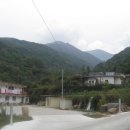 국골민박 이미지