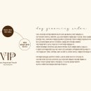 모든애견미용실 이미지