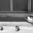 고죽1리 이미지