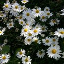 동편농장 이미지