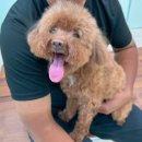 견우동물병원 이미지