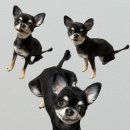 핫도그캣찹 이미지