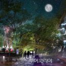 강천산 캠핑 투어코리아