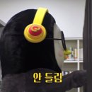 유타로천호