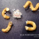 사진동화